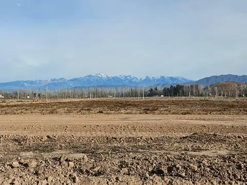 Terreno en Venta de 835,0 m2