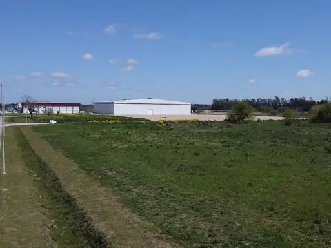 Terreno en Venta 40  mts Fondo