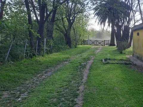 Campo - Venta - Argentina, Lobos