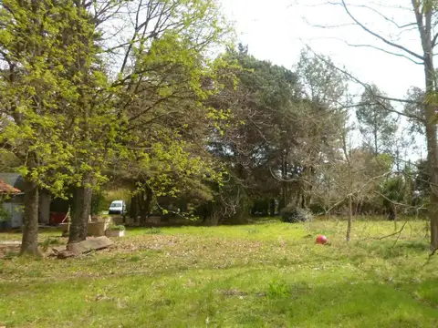 Terreno con quincho y pileta Dacal Bienes Raices