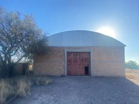Pedro Goyena Mendoza al 3800