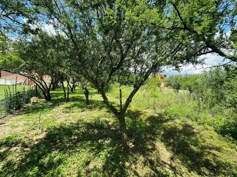 Terreno en Venta de 679,0 m2