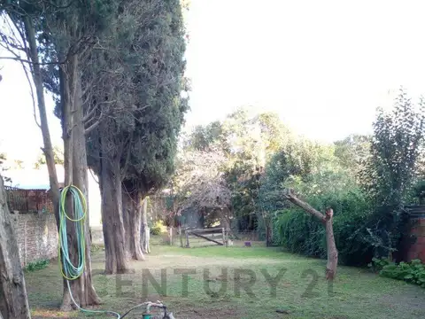 Camino Belgrano entre 447 y 448 , Piso 0