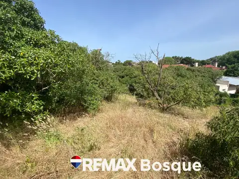 Venta Lote  Mar de Ostende 4 cuadras del mar