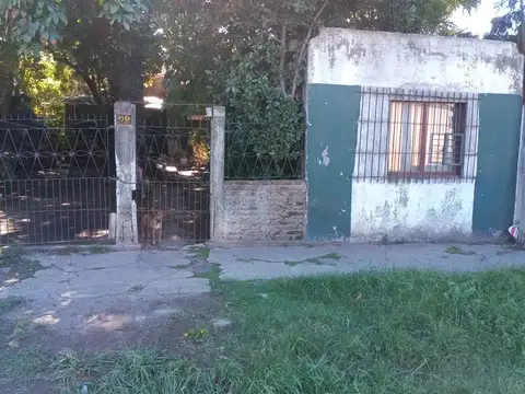 Rio de La Plata 100