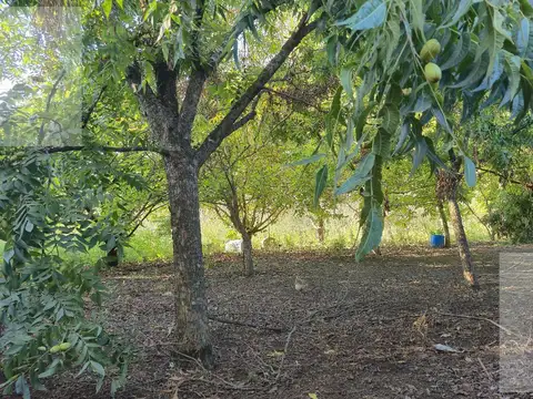 Terreno En Venta - Loma Verde