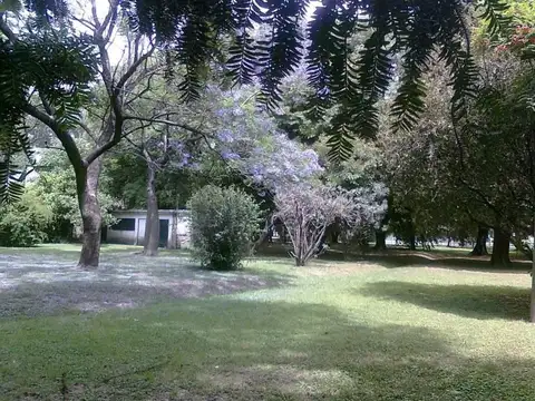 Benito Perez Galdos 400, Piso 1