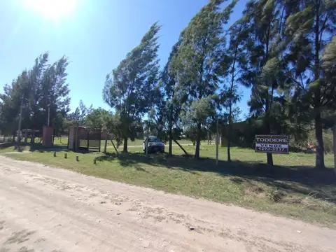 GALVES Y GUIRALDES
