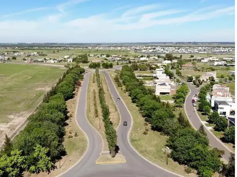 Boote Y Luis Tagle 100