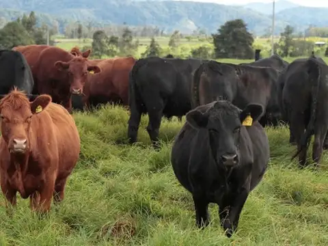 Campo en Venta de 1.500  ha