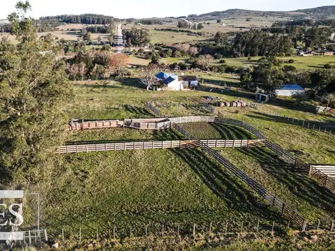 ruta 12 100