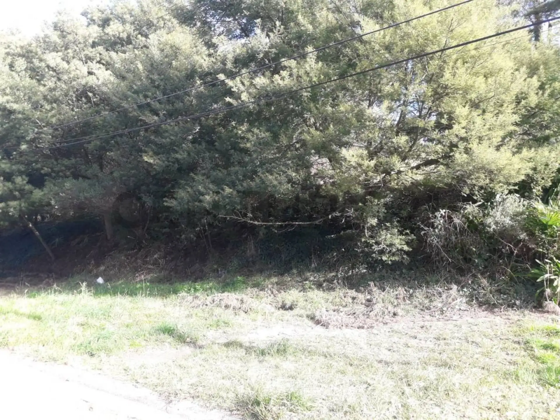 VENDO LOTE EN SIERRA DE LOS PADRES ZONA GOLF