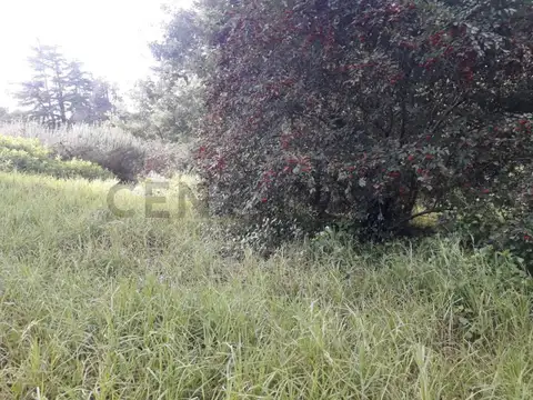 VENDO LOTE EN SIERRA DE LOS PADRES ZONA GOLF