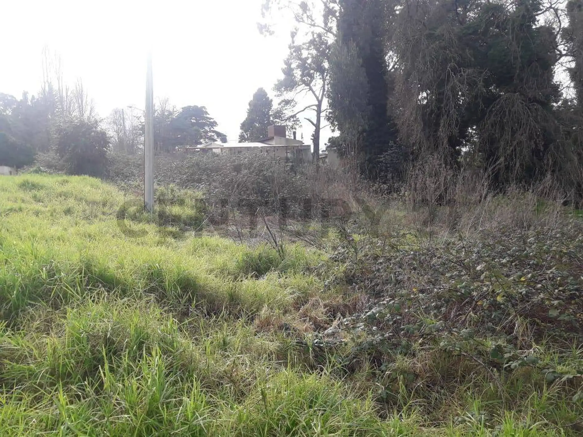 VENDO LOTE EN SIERRA DE LOS PADRES ZONA GOLF