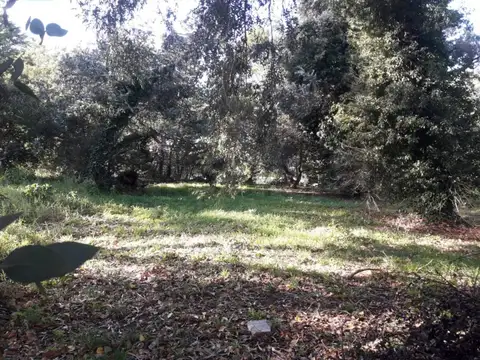 VENDO LOTE EN SIERRA DE LOS PADRES ZONA GOLF