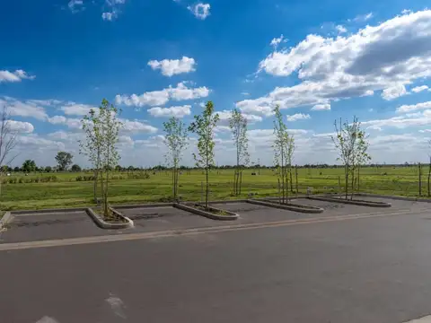 Vida Jardín Fuerza Aerea 4737