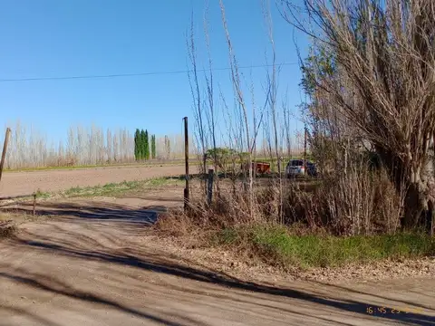 VENTA-FINCA-TULUMAYA-LAVALLE