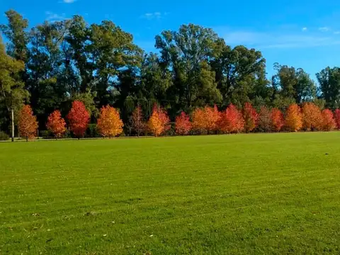 Campos de Roca, Ruta 2 Km 65
