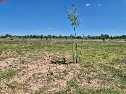 Terreno en Venta de 600,0 m2