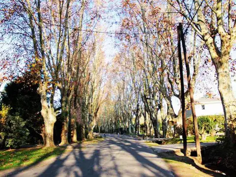 Highland Park