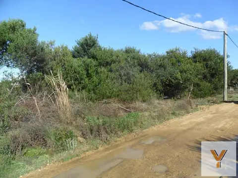 Terreno en venta - 417Mts2 - Punta Rubia