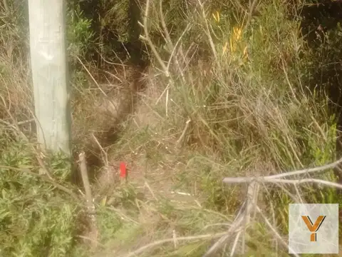 Terreno en Venta 20  mts Fondo