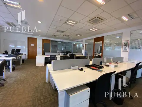 Oficina en Alquiler A Estrenar