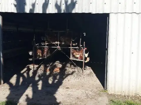 Granja avícola cerca del cruce de Rutas 6 y 8