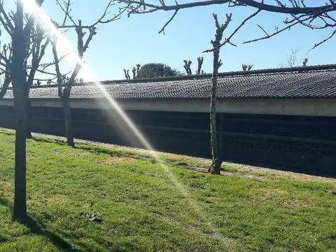 Granja avícola cerca del cruce de Rutas 6 y 8