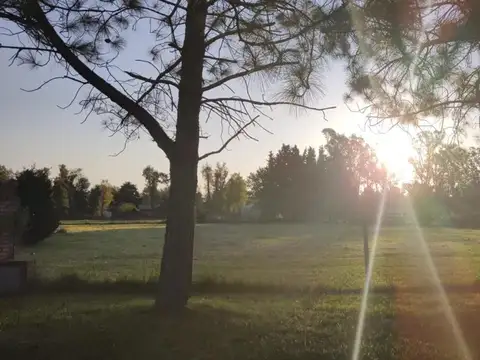 Terreno en Venta 63  mts Fondo