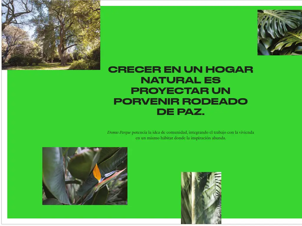 Domus PARQUE - Foto 21