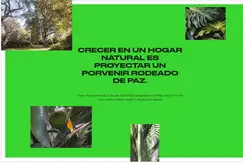 Domus PARQUE - Foto 21