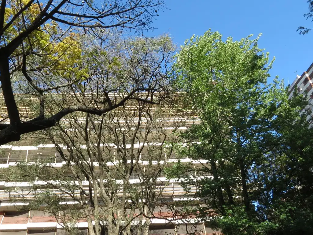 Domus PARQUE de  1, 2, 3 y 4 Dormitorios