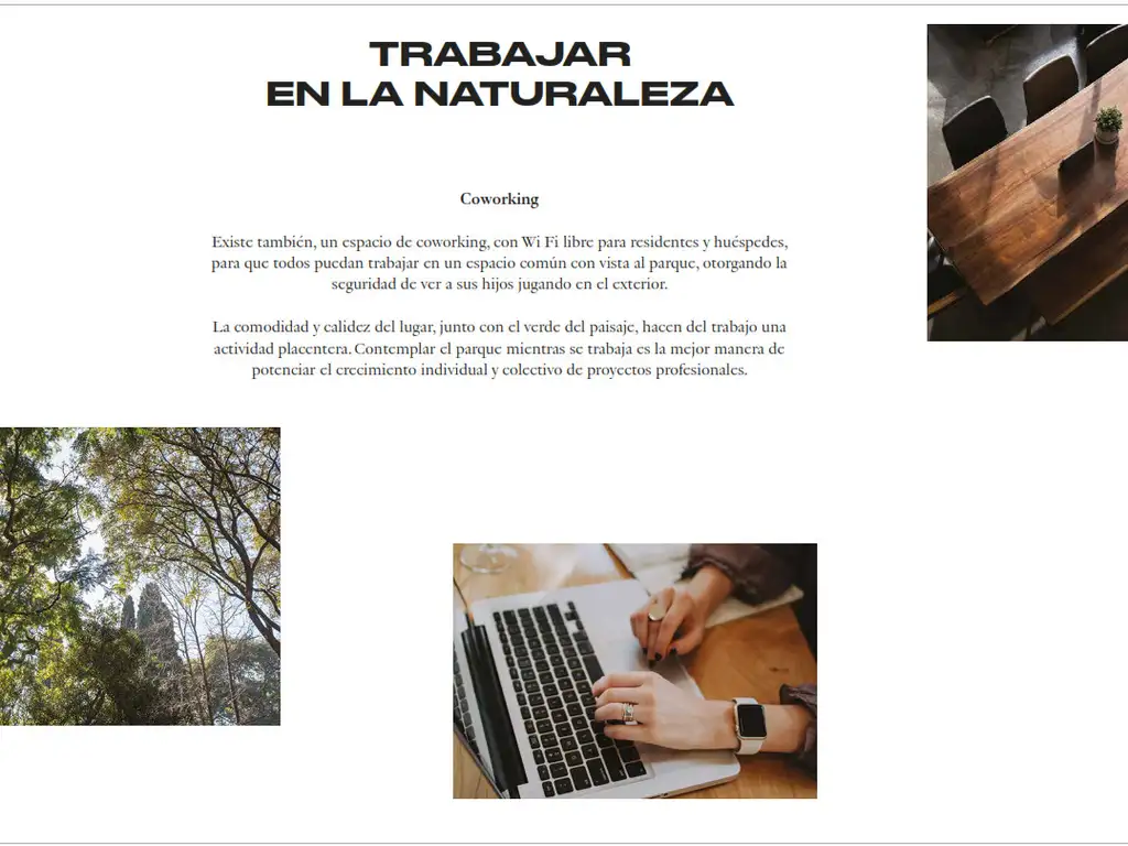 Domus PARQUE - Foto 13