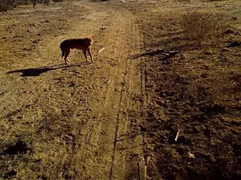 Campo de 593 has en Puerto Alegre, San Luis