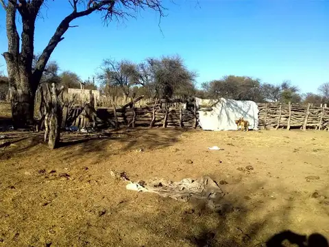 Campo de 593 has en Puerto Alegre, San Luis