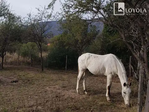 Terreno en Venta de 1187,0 m2