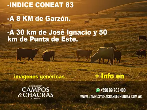 Campo en venta de 30 hectáreas con aptitud mixta en las Sierras de Garzón, departamento de Maldonado, Uruguay.
