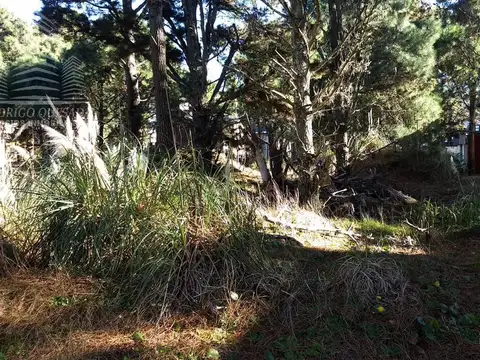 Terreno en Venta de 667,0 m2