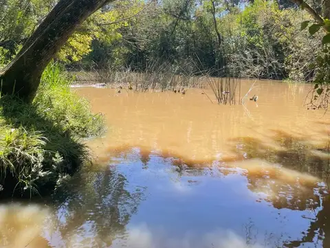 Terreno en Venta en Puertos, USD 120.000