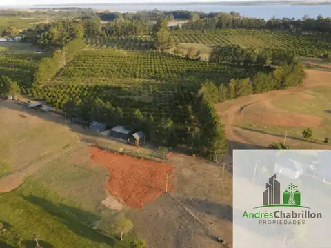 Villa del Rosario, Chajarí 100