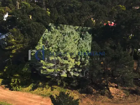 Terreno en Venta en Álamos 2, USD 95.000