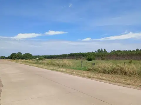 Terreno en Venta de 500,0 m2