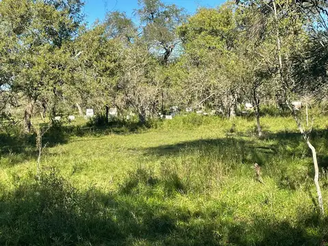 Entre Rios El Durzno
