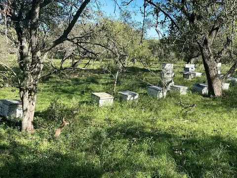 Entre Rios El Durzno