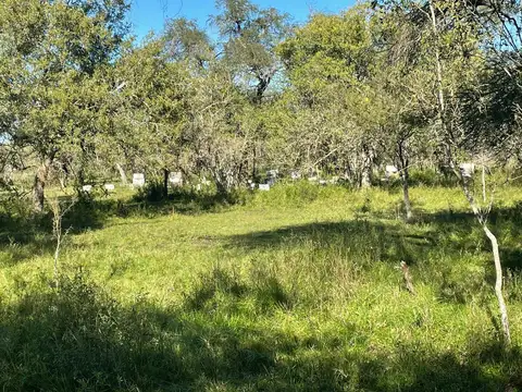 Campo en venta