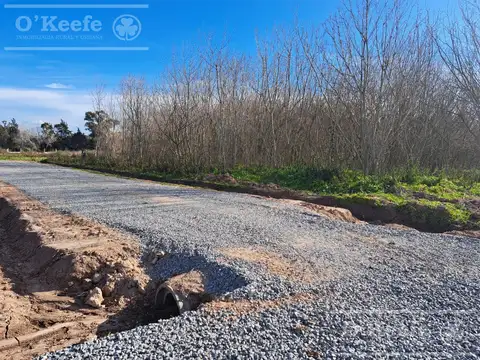 Terreno en Venta 12  mts Frente