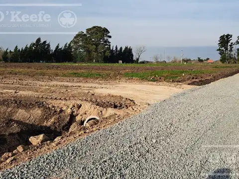 Terreno en Venta 24  mts Fondo