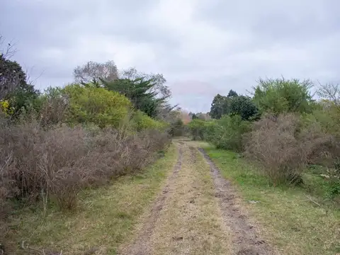 Terreno en Venta en Pando, USD 420.000