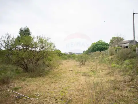 Terreno en Venta de 66815,0 m2